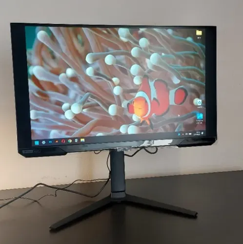 Samsung Odyssey G4 27" 300Hz IPS - Na Garantia Samsung