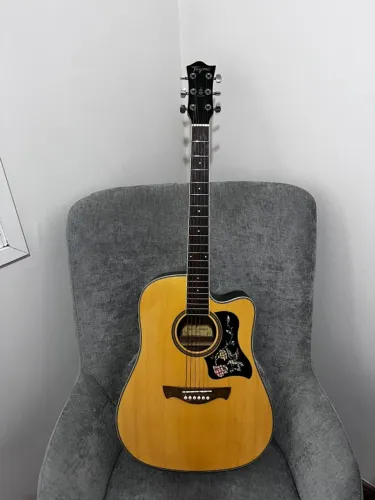 Violão Tagima WS-20