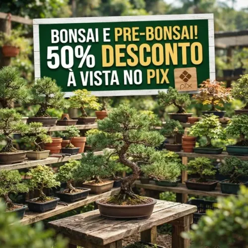 bonsai com 50%