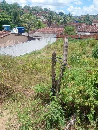 loteamento aparecida (carpina,)