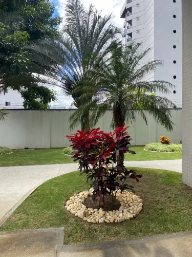 Alugo apto Caruaru bairro M Nassau 3.200,00 incluso condomínio e IPTU