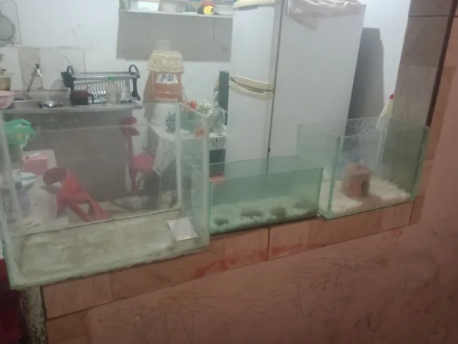Aquários