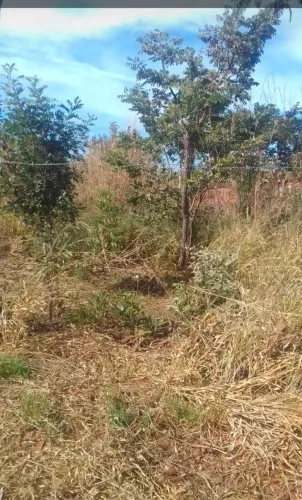 Vende-se lote 30 MIL escriturado no setor Norte em Planaltina-GO ACEITO CARRO 