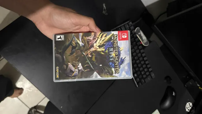 Monster hunter rise