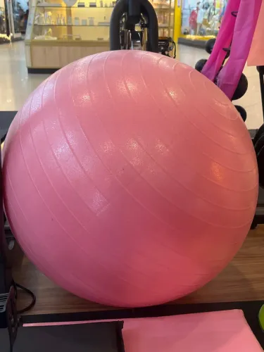BOLA SUÍÇA 55CM