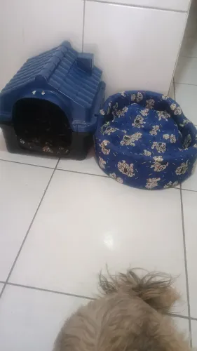 Casinha de cachorro + cama