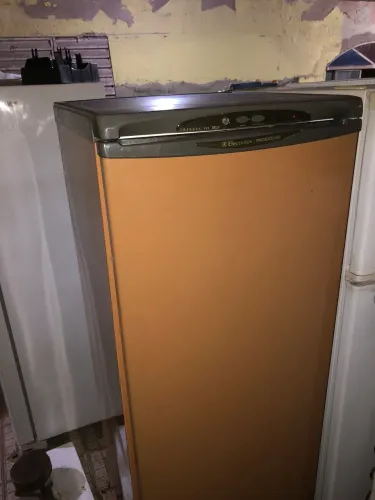 Frizer Electrolux prosdocimo 