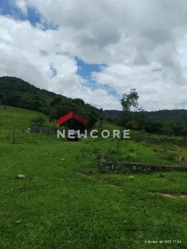 Sítio em rua do feixe - córrego grande - Adrianópolis/PR
