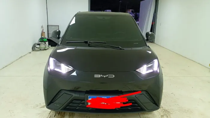 BYD Dolphin Mini (Elétrico) 2024