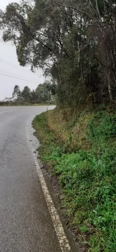 Em Rancho Queimado 2 hectares a venda