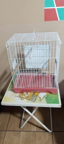 Vendo 3 gaiolas de calopsita seminovas por 200,00 reais as três