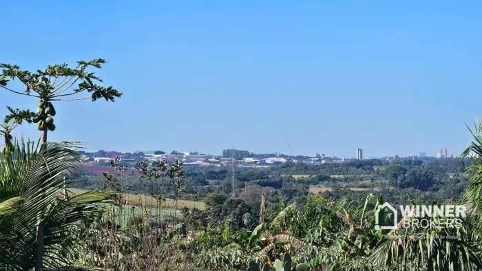 Chácara com 3 dormitórios à venda, 2000 m² por R$ 1.200.000,00 - Jardim Ouro Cola - Maring
