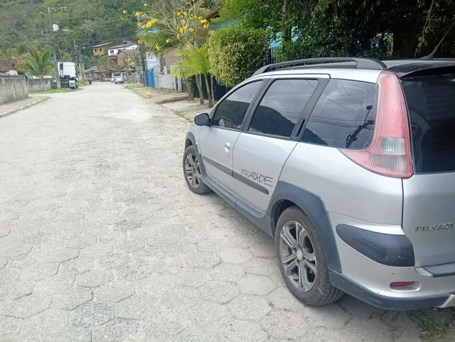 Peugeot 206 SW Escapade 1.6 16V Flex 5P 2007