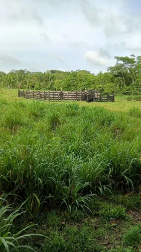 Vendo um terreno muito bom bei localizado  bom aseso 
