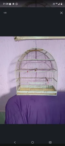 Gaiola boa