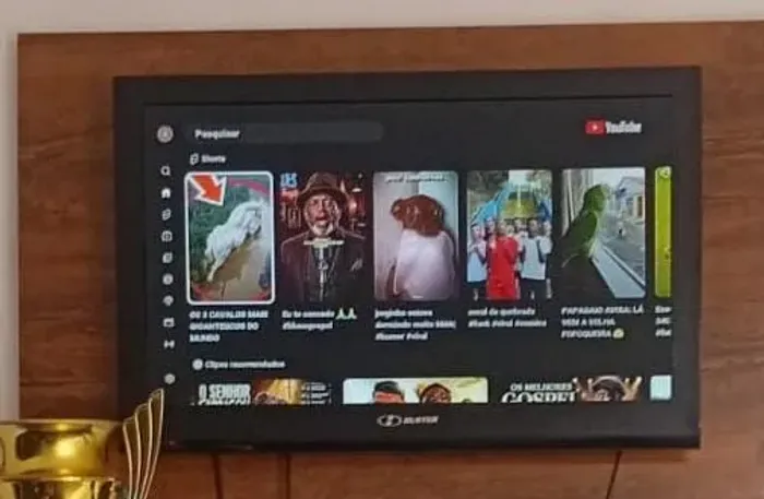 Vendo TV 32 polegadas 