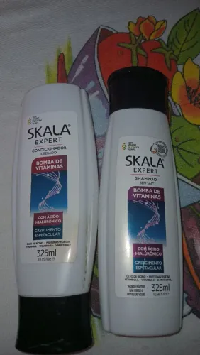 E.s.t.o.u. a procura de bico