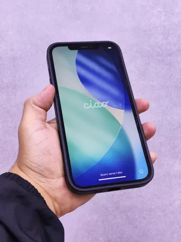 iPhone 12 PRO MAX 256 GB