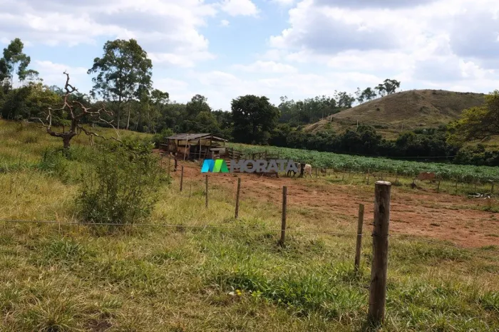 SÍTIO À VENDA - 19 HECTARES - PIUMHI (MG)