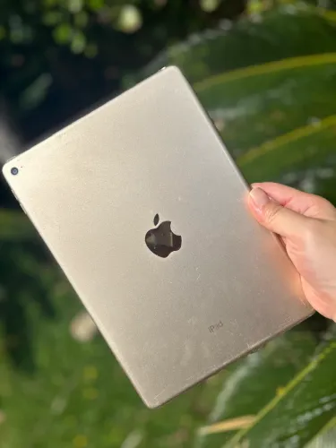 iPad Air 2