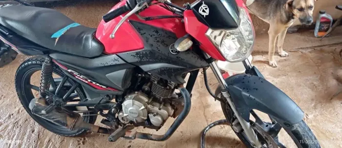 Vendo