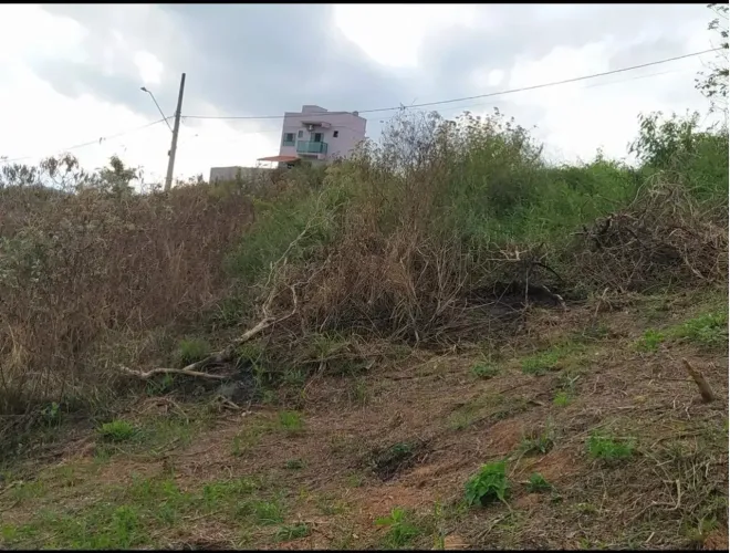 Lote em São João Nepomuceno
