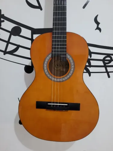 Viola caipira Elétrica Giannini. Parcelo