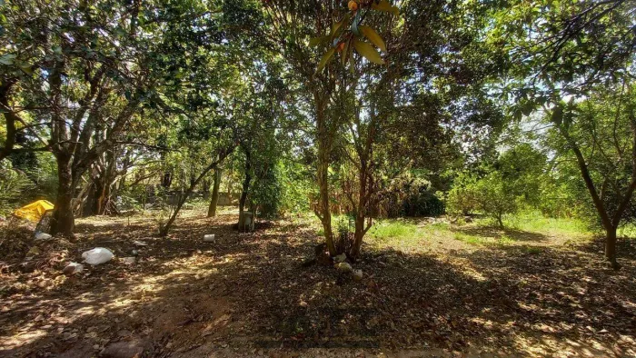 Terreno em Village Campinas