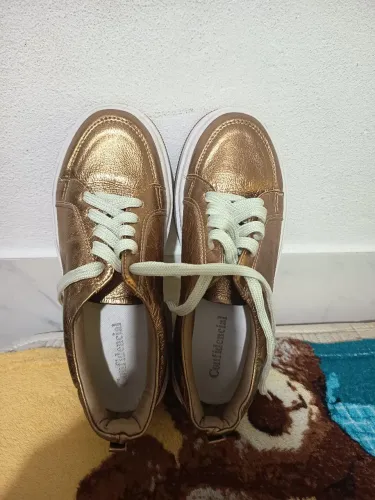 Tenis