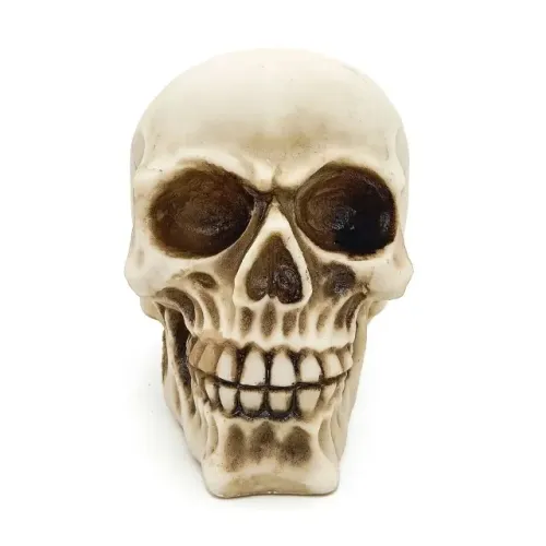 Crânio de Caveira em Resina Realista Decoração Altar 10cm