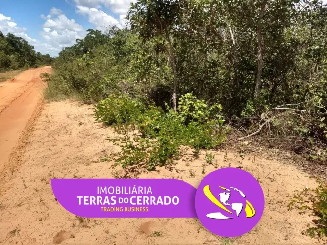 AREA DE 71 HECTARES EM SAO FRANCISCO - MG/ IDEAL PRA EUCALIPTO (VENDA OU TROCA)