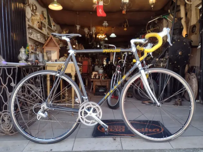 Bicicletas Diferenciadas 