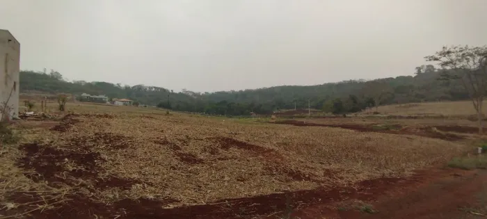 Lote frente para rodovia ,20.000m2,Gleba Ribeirão Pinguim próximo ao Aeroporto,