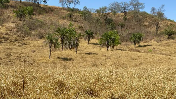 Fazenda de 20 alqueires em Trindade Go
