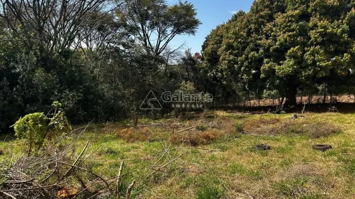 terreno - Cidade Universitária - Campinas