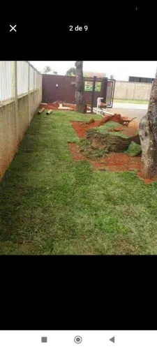 GRAMAS JA PLANTADAS A PARTIR DE 7 REAIS 
