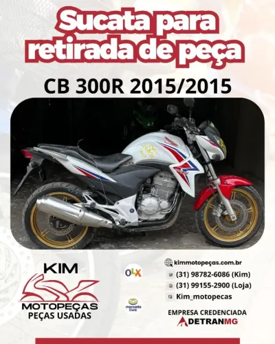 CB 300R 2015/2015 (Para Retirada de Peças)
