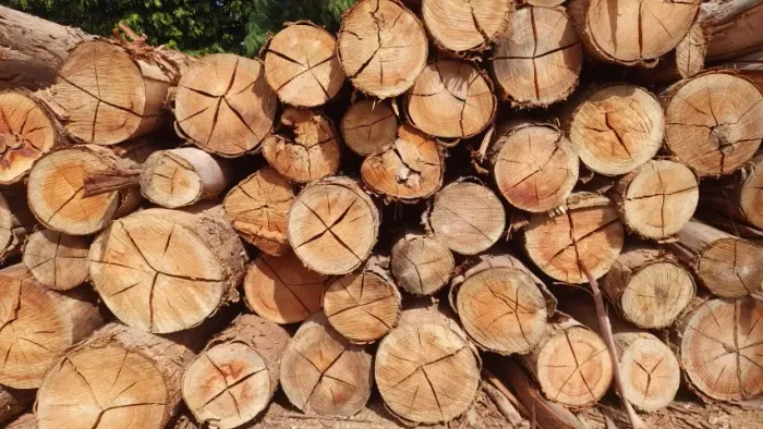Lenha para Fogueiras, Fornos, Fogões e Churrasqueiras - Entrega a Domicílio