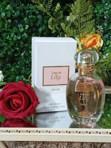Lily Soleil (Loja On-line de Presentes)