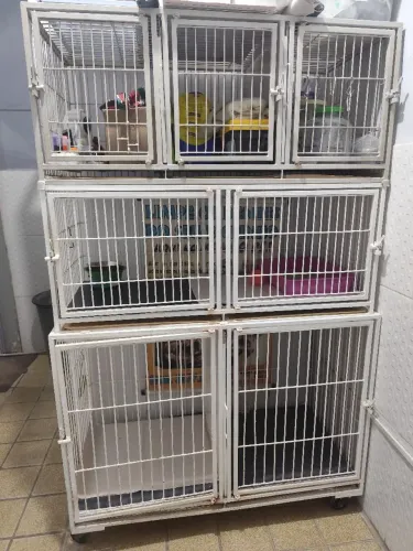 gaiola para pet shop