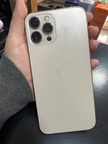 12 Promax 512 GB