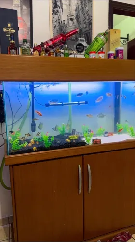 Aquário de 200 Litros completo