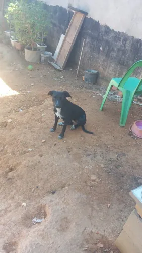 Doação 