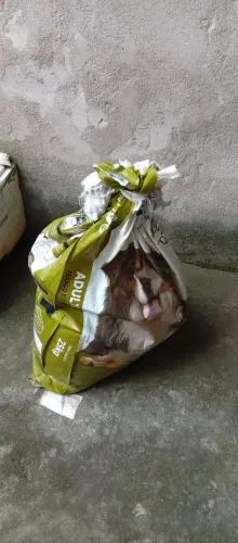 Saco de brita 30kg