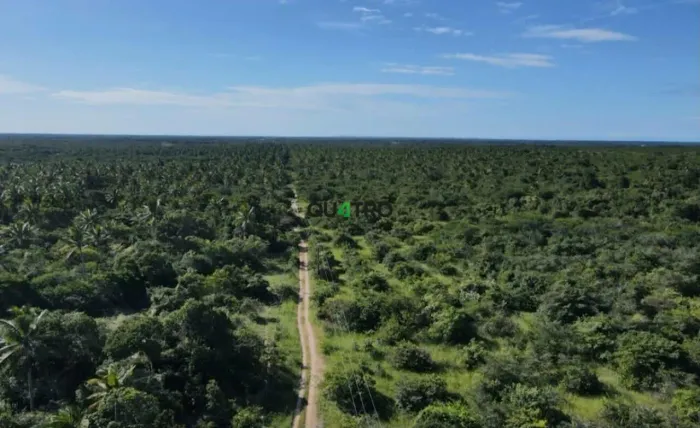 ÁREA RURAL DE 198 HECTARES À VENDA EM CASCAVEL/CE