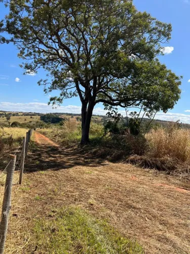 Chácara Bela vista