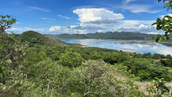 Fazenda à Venda - 80 Alqueires | Próxima à Cidade | Lago Serra da Mesa
