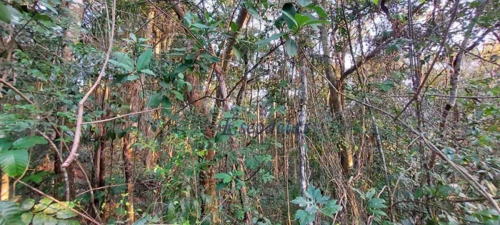 Terreno à venda, 1560 m² por R$ 140.000,00 - Santa Inês - Mairiporã/SP