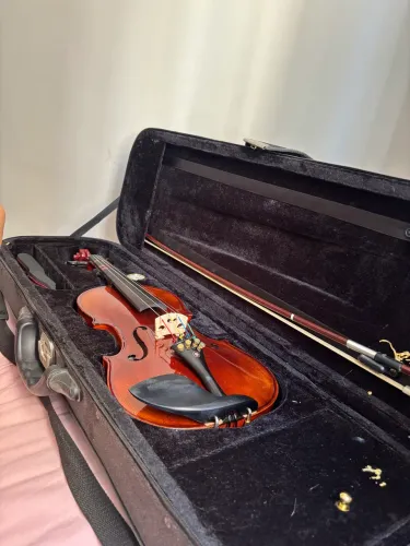 Violino Semiprofissional Eagle VK544 seminovo