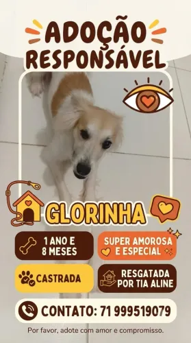 Cadelinha Castrada